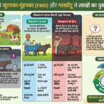 भैंस और गाय में खुरपका-मुंहपका (FMD)