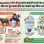 थनैला (Mastitis) रोग
